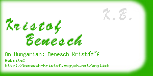 kristof benesch business card